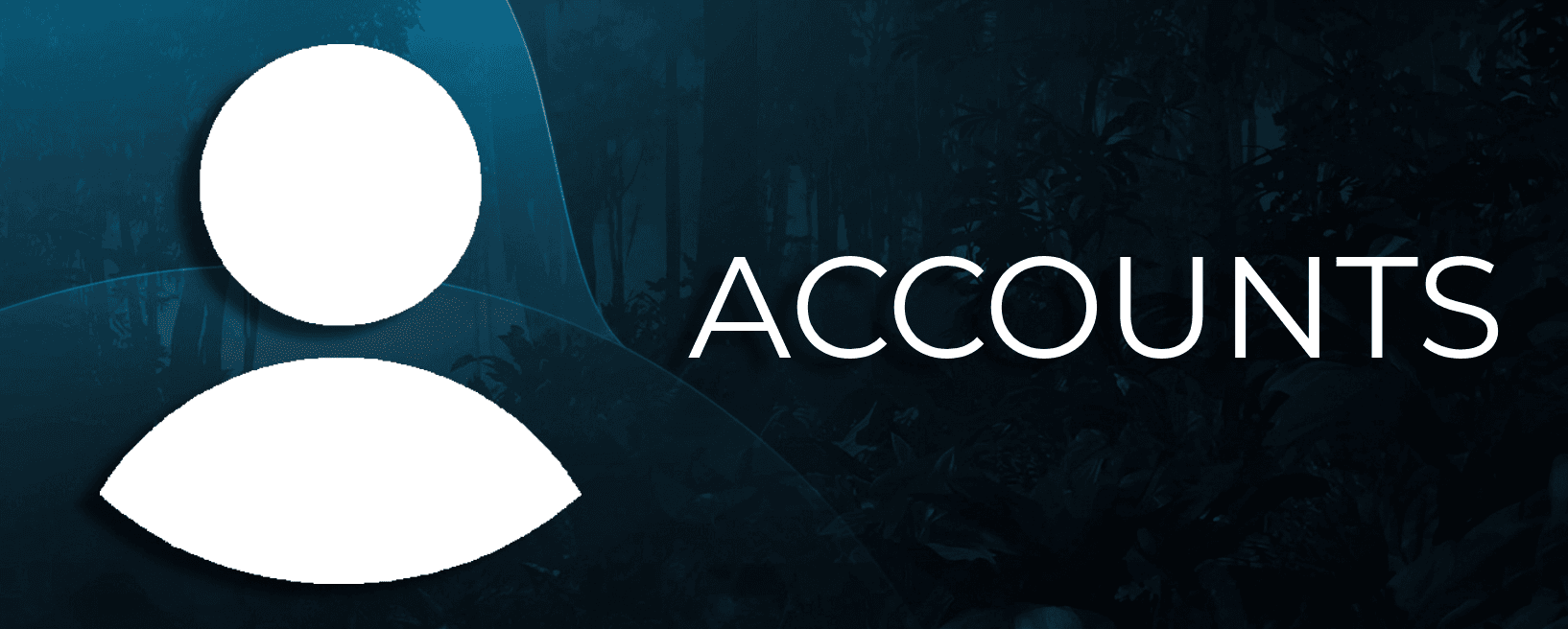 Accounts Lite