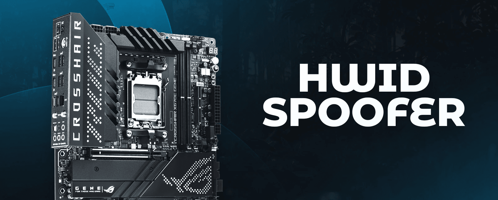 HWID Spoofer Lite